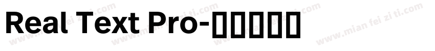 Real Text Pro字体转换